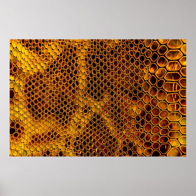 Snake skin background poster (Front)