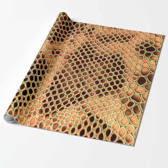 Snake skin background wrapping paper (Unrolled)