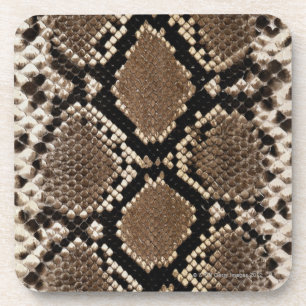 Snake Skin Coaster