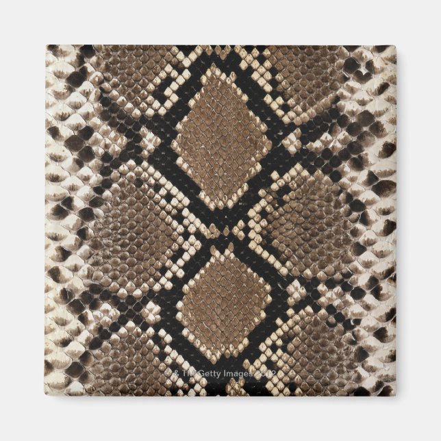 Snake Skin Magnet (Front)