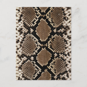 Snake Skin Postcard