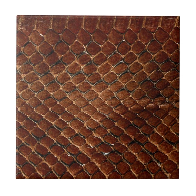 Snake Skin Print Tile (Front)