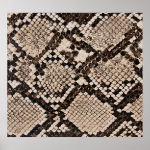 Snake skin: textured background. poster