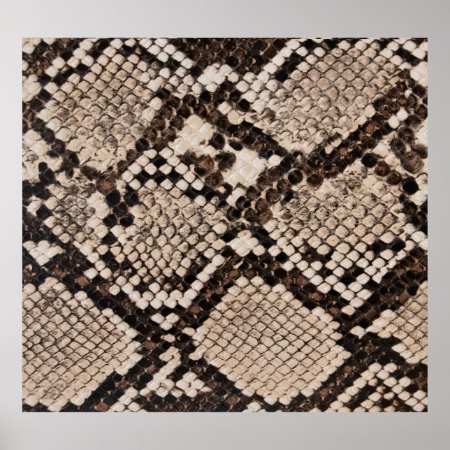Snake skin: textured background. poster (Front)