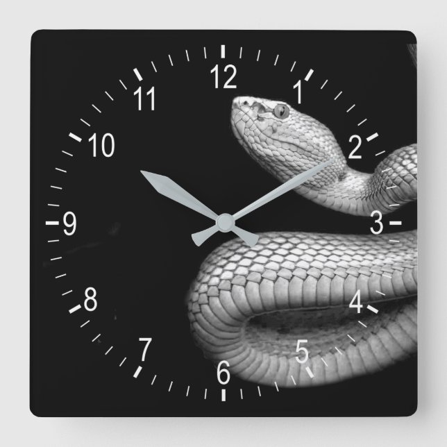Snake Square Wall Clock (Front)