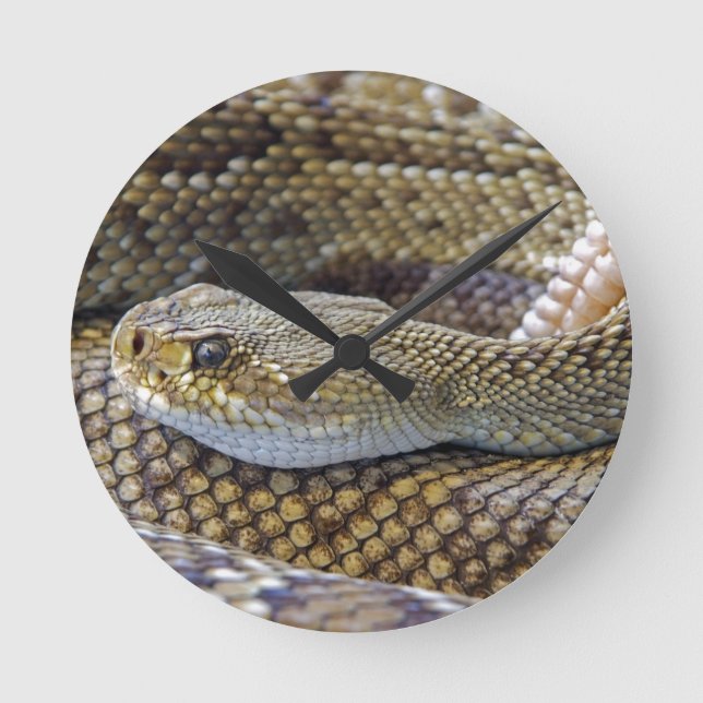 Snake Theme Acrylic Wall Clock (Front)