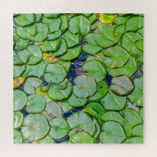 Snake Upon the Lily Pads Jigsaw Puzzle