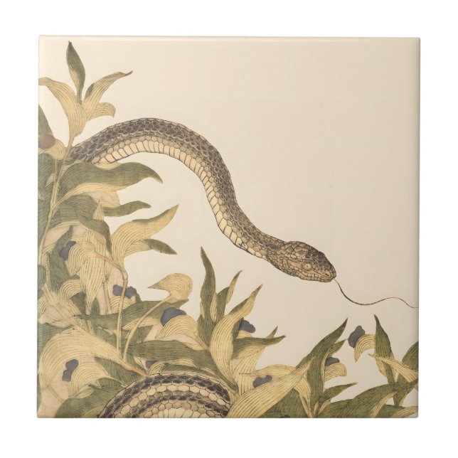 Snake Vintage Cream Ceramic Tile (Front)