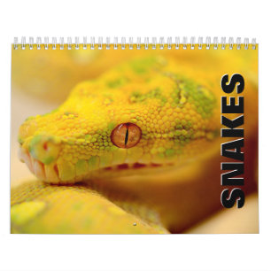 Snakes [2] Wall Calendar
