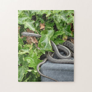 Snakes Alive! It is a Garter Snake! Jigsaw Puzzle