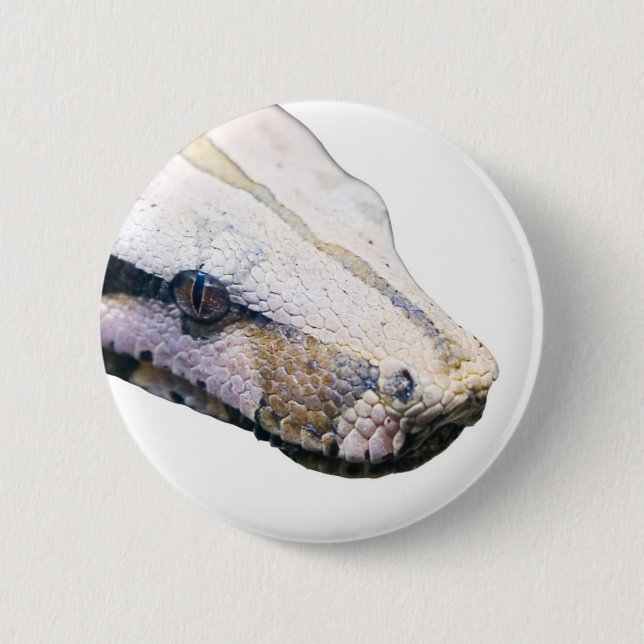 snakes- amazonian constrictor boa 6 cm round badge (Front)