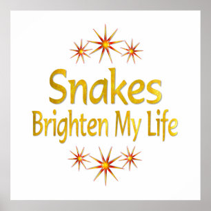 Snakes Brighten My Life Poster