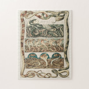 Snakes, cobra, viper, art nouveau by Anton Seder Jigsaw Puzzle