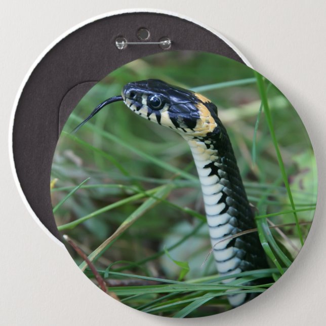 Snake's Head 6 Cm Round Badge (Front & Back)