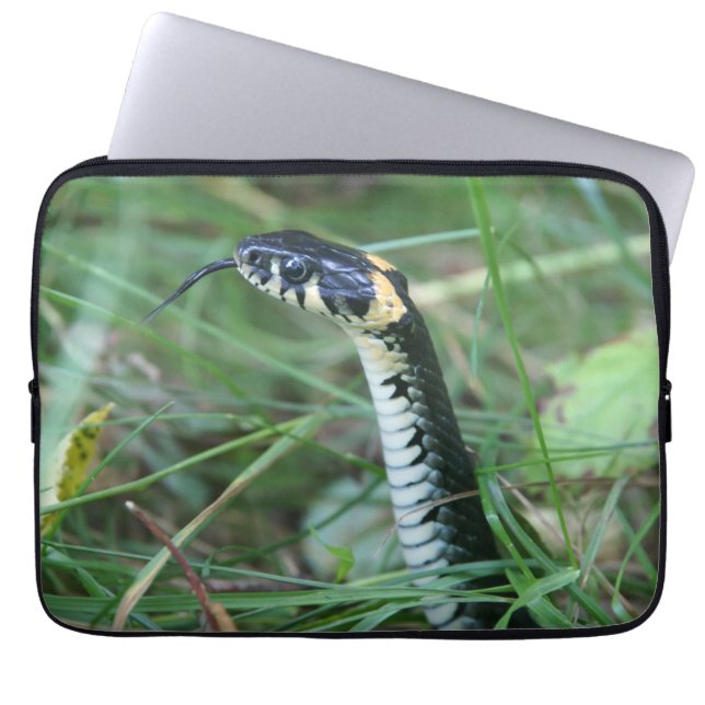 Snake's Head Laptop Sleeve (Front)