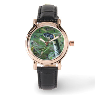 Snake's Head Watch