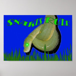 Snakes Rule!!! Poster