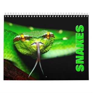 Snakes Wall Calendar