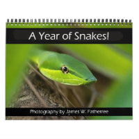 Snakes Wall Calendar by J. Fatherree