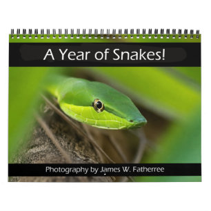 Snakes Wall Calendar by J. Fatherree