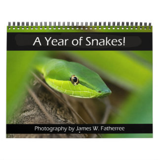 Snakes Wall Calendar by J. Fatherree