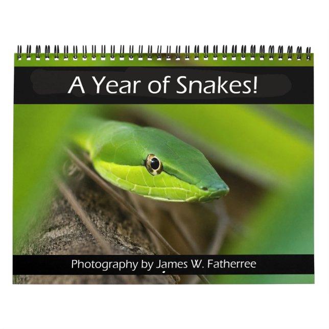 Snakes Wall Calendar by J. Fatherree (Cover)