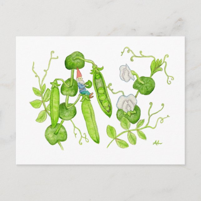 Snap Pea Gnome postcard (Front)
