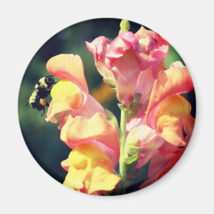 Snapdragon And Bee Flower Photography Magnet