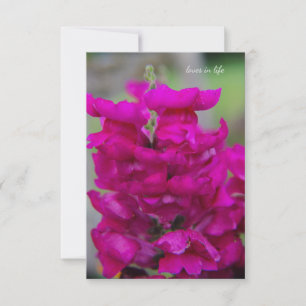Snapdragon Card