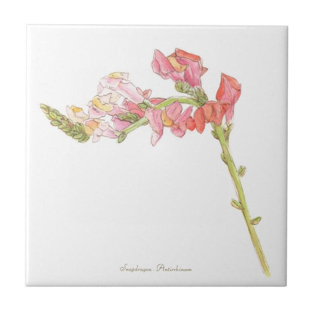 Snapdragon  ceramic tile (Front)