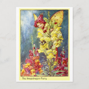 Snapdragon Fairy Postcard