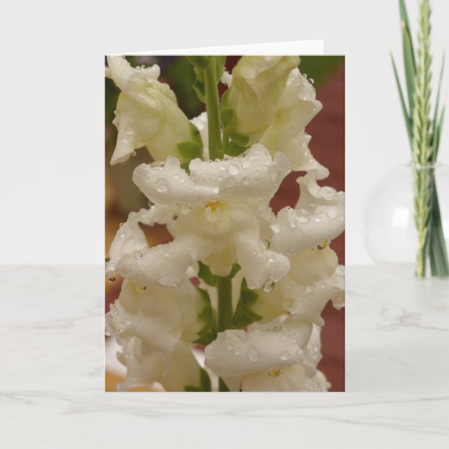 Snapdragon in the rain notecard (Front)