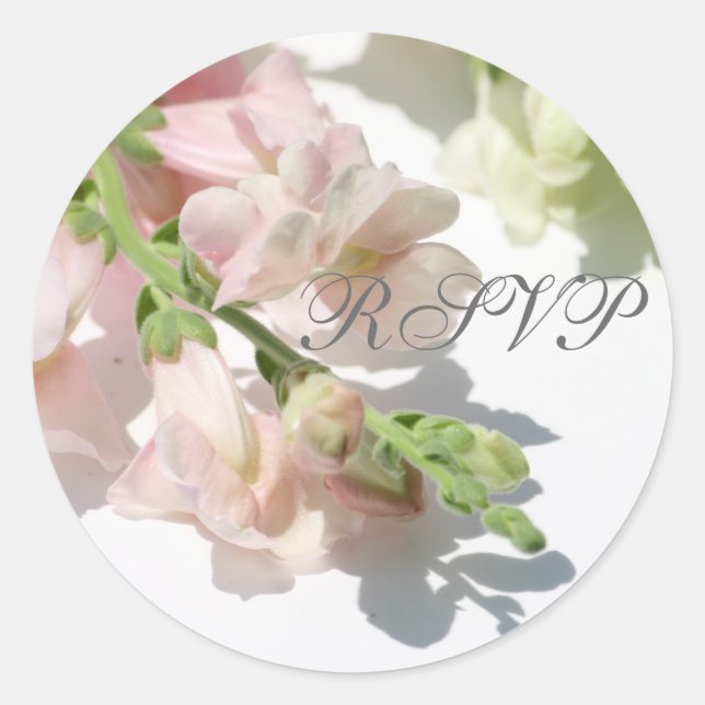 Snapdragon RSVP Sticker (Front)