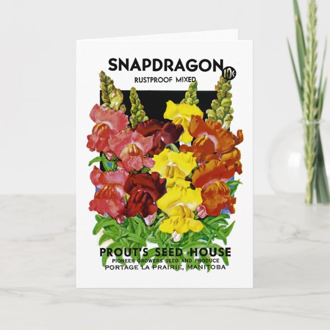 Snapdragon Vintage Seed Packet Card (Front)