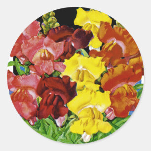 Snapdragon Vintage Seed Packet Classic Round Sticker