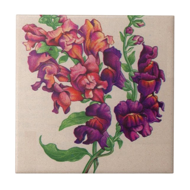 snapdragons ceramic tile (Front)