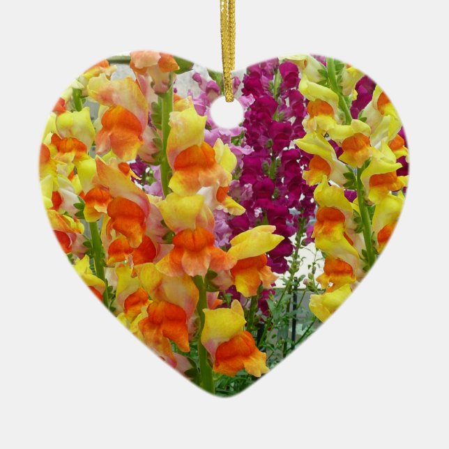 Snapdragons Colourful Floral Ceramic Ornament (Front)