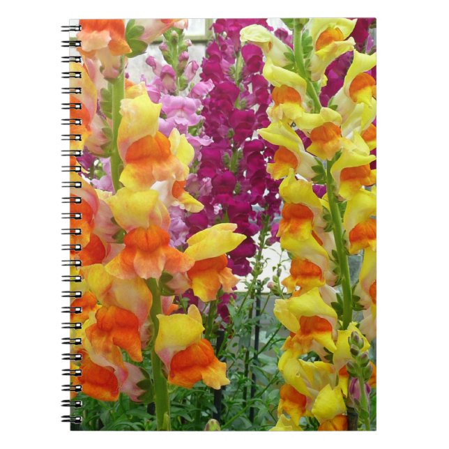 Snapdragons Colourful Floral Notebook (Front)