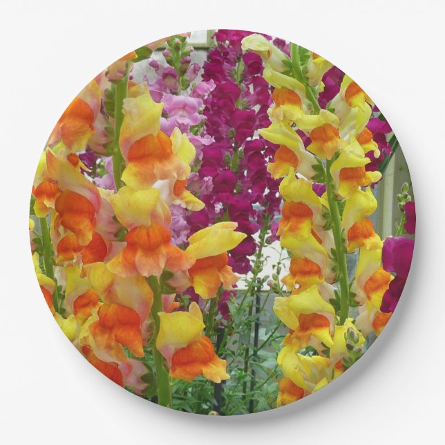 Snapdragons Colourful Floral Paper Plate (Front)