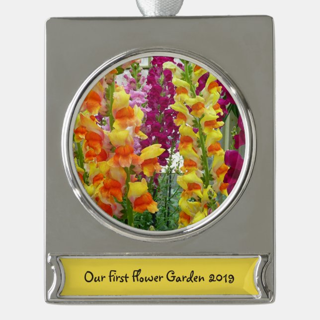 Snapdragons Colourful Floral Silver Plated Banner Ornament (Front)