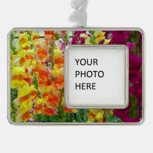 Snapdragons Colourful Floral Silver Plated Framed Ornament