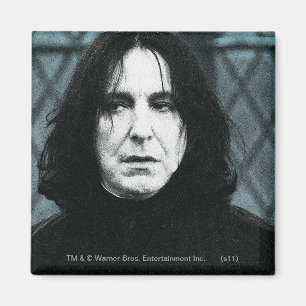 Snape 1 magnet