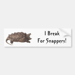 Snapper Bumper Sticker