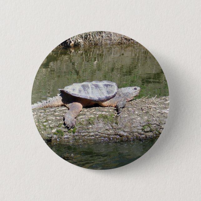 Snapping Turtle 6 Cm Round Badge (Front)