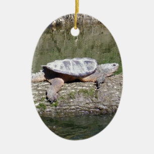 Snapping Turtle Ceramic Tree Decoration