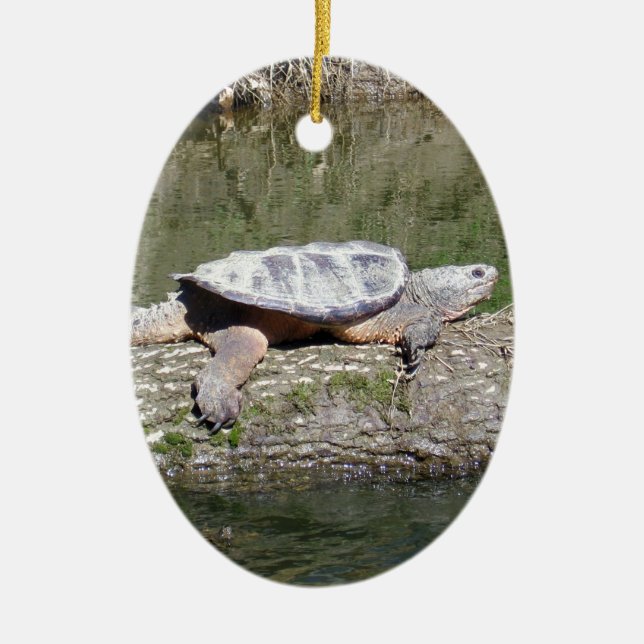 Snapping Turtle Ceramic Tree Decoration (Front)