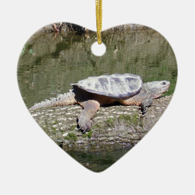 Snapping Turtle Ceramic Tree Decoration (Front)