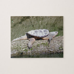 Snapping Turtle Jigsaw Puzzle