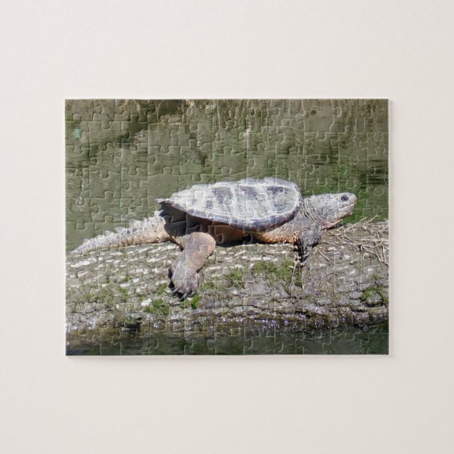 Snapping Turtle Jigsaw Puzzle (Horizontal)
