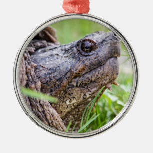 Snapping Turtle Metal Tree Decoration